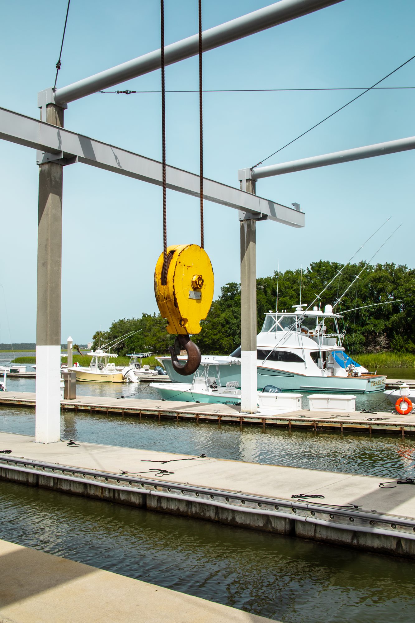 savannah yacht club swim team