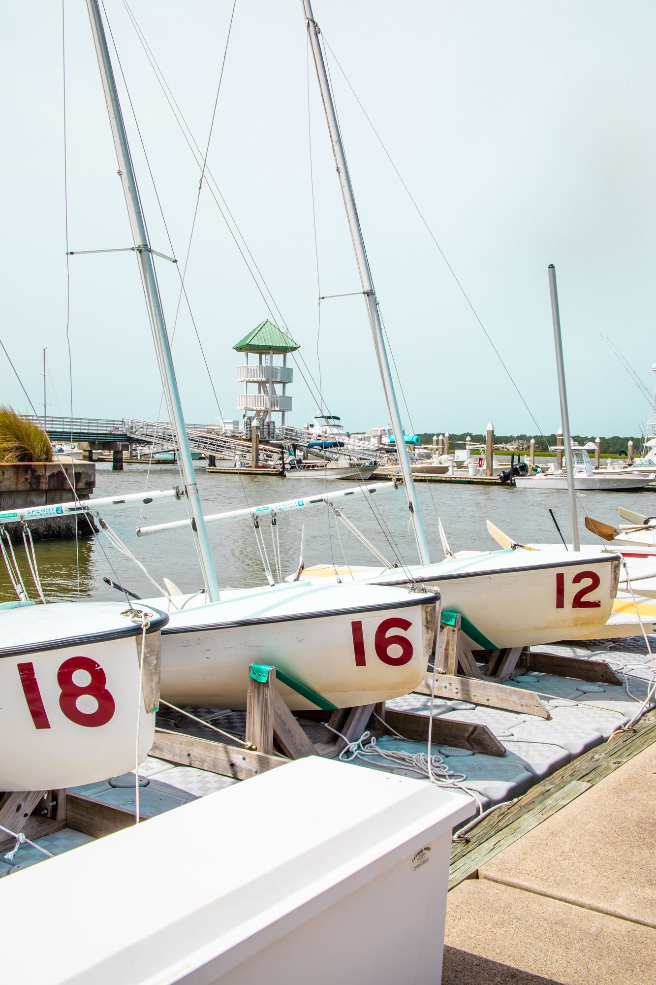 savannah yacht club swim team