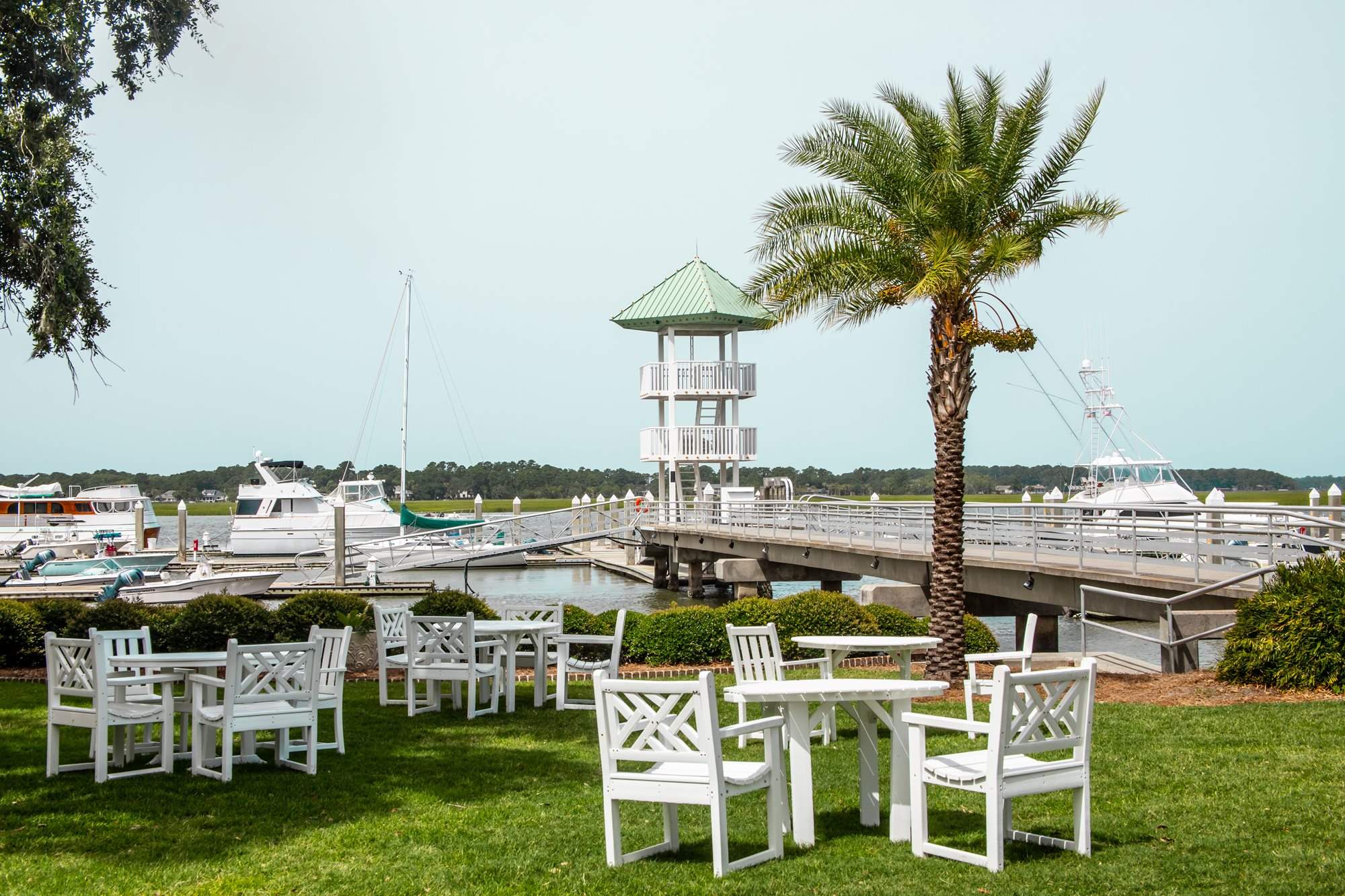 savannah yacht club swim team